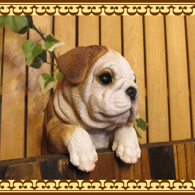 ���������Υ���ƥꥢ�ˤ����Υ����ʥ��ȤȤ��Ƥ�����ꥢ��ʸ�����ʪ���֤餵����֥�ɥå������̤Υե�����