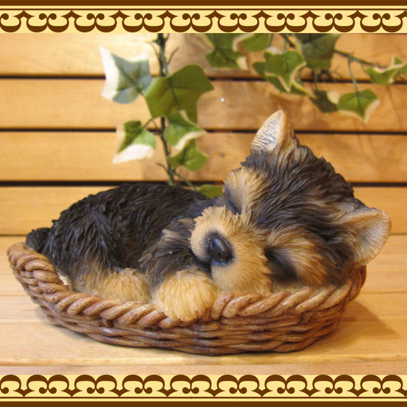 ���������Υ���ƥꥢ�ˤ����Υ����ʥ��ȤȤ��Ƥ�����ꥢ��ʸ�����ʪ���Х����åȥɥå����衼�����㡼�ƥꥢ�����Ҹ��Υե�����