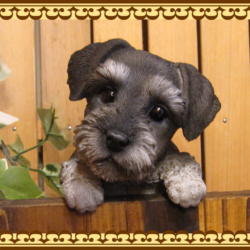 ʥʪꥢʸʪ֤餵ɥå̤ΥեΥƥꥢˤΥʥȤȤƤ