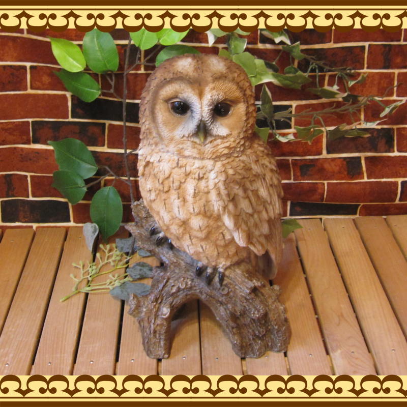 ΥƥꥢˤΥʥȤȤƤ礭ƥꥢĻʪդ¥סեΥե