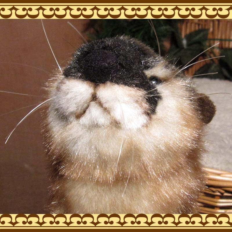 ���臘���������ף¡��ꥢ��ʥ��復���Τ̤������