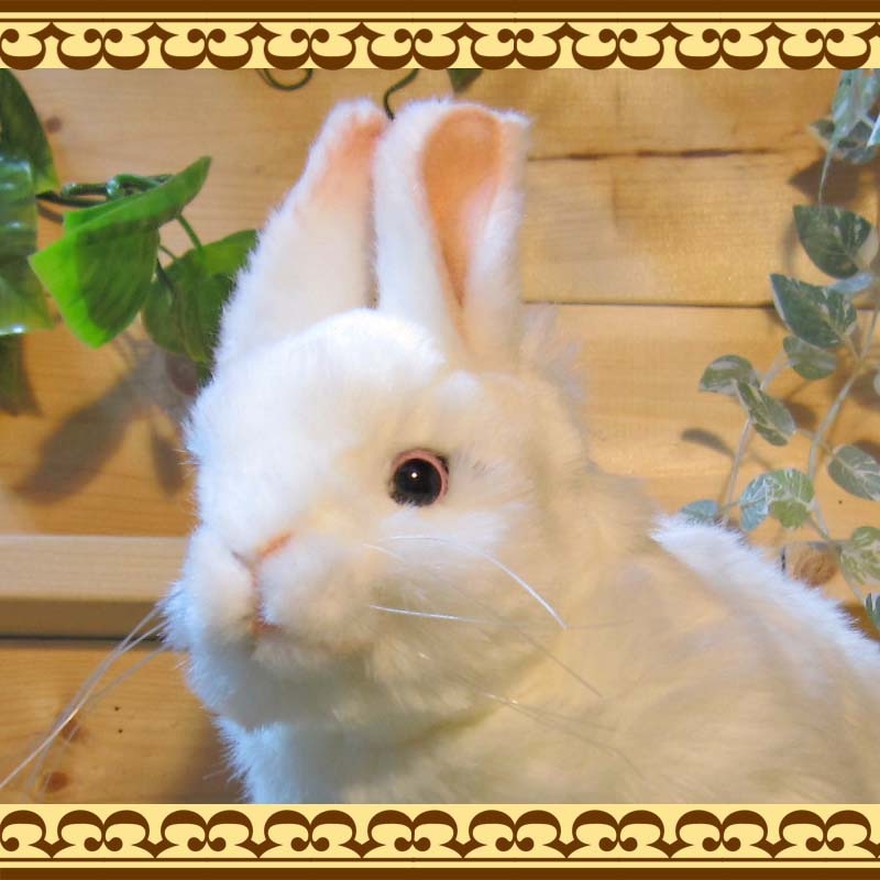 �㤦�������������ס��ꥢ��ʥ������Τ̤�����ߡ�����������ʪ����ӥåȥ��֥��������١�������ꡡ����ƥꥢ���Хˡ����å����ե����奢