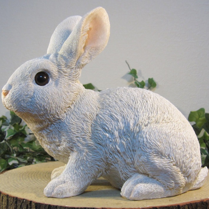 �ꥢ��ʤ���������ʪ����ӥåȡ����¤ꡡ�򥦥������ե����奢���Хˡ������١�������ꡡ���֥����������ǥ˥󥰡��������Υ���ƥꥢ�ˤ����Υ����ʥ��ȤȤ��Ƥ��