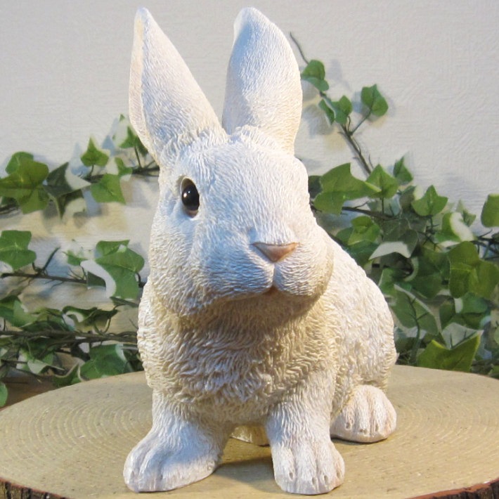 �ꥢ��ʤ���������ʪ����ӥåȡ����¤ꡡ�򥦥������ե����奢���Хˡ������١�������ꡡ���֥����������ǥ˥󥰡��������Υ���ƥꥢ�ˤ����Υ����ʥ��ȤȤ��Ƥ��