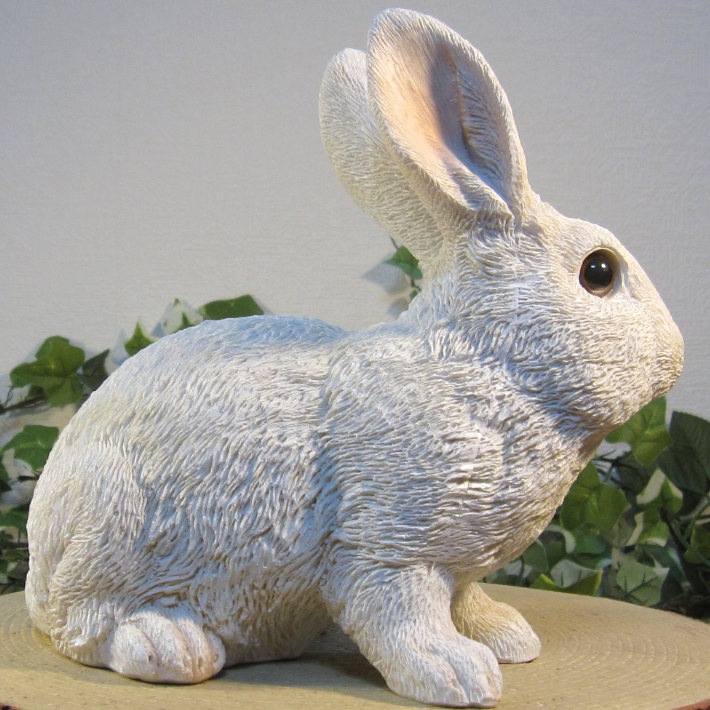 �ꥢ��ʤ���������ʪ����ӥåȡ����¤ꡡ�򥦥������ե����奢���Хˡ������١�������ꡡ���֥����������ǥ˥󥰡��������Υ���ƥꥢ�ˤ����Υ����ʥ��ȤȤ��Ƥ��