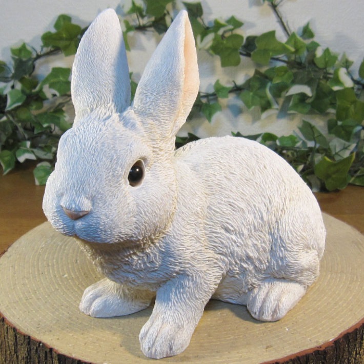 �ꥢ��ʤ���������ʪ����ӥåȡ����¤ꡡ�򥦥������ե����奢���Хˡ������١�������ꡡ���֥����������ǥ˥󥰡��������Υ���ƥꥢ�ˤ����Υ����ʥ��ȤȤ��Ƥ��