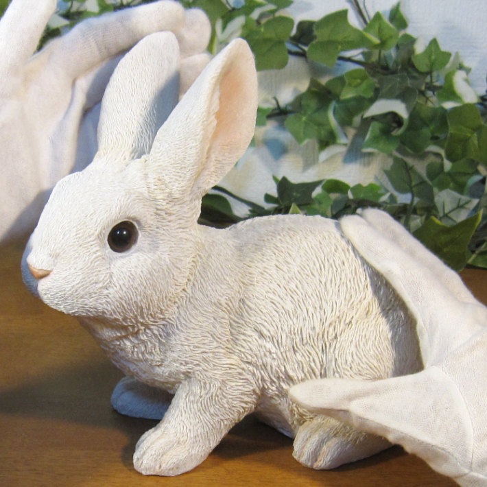 �ꥢ��ʤ���������ʪ����ӥåȡ����¤ꡡ�򥦥������ե����奢���Хˡ������١�������ꡡ���֥����������ǥ˥󥰡��������Υ���ƥꥢ�ˤ����Υ����ʥ��ȤȤ��Ƥ��