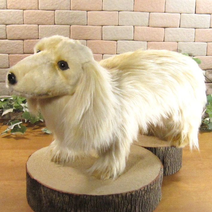 ���å����ե�ȡ��ӥå������������꡼�ࡡ�ɥå����֥������礭���ƥꥢ��ʸ��Τ̤�����ߡ����̤���ʪ�����̤Υե����奢������ƥꥢ