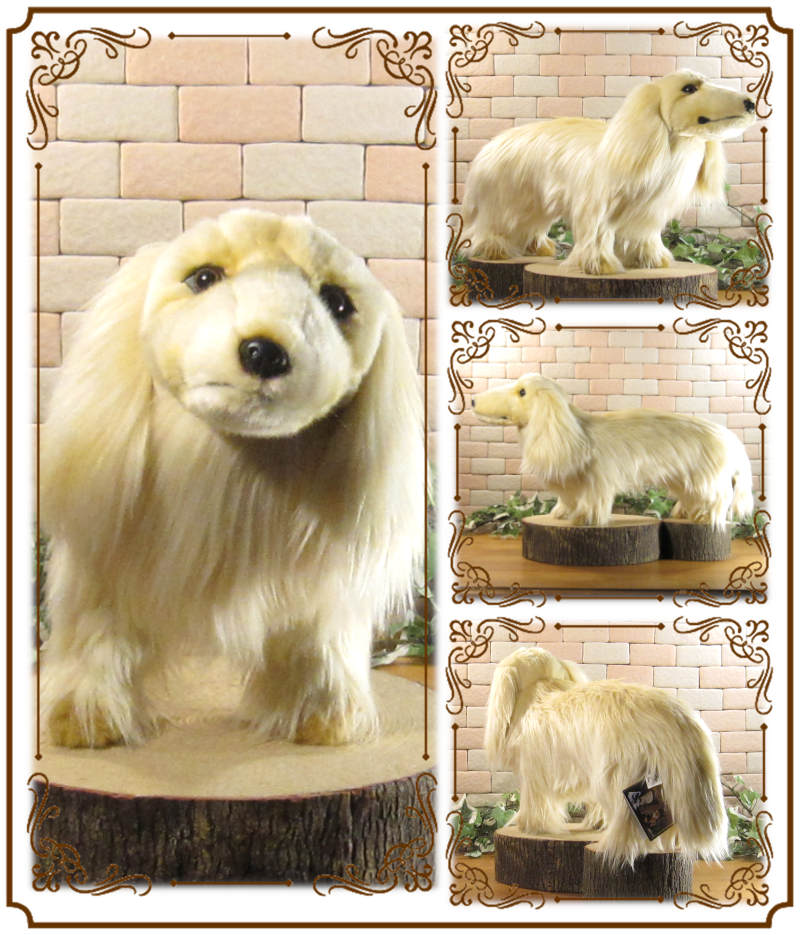 ���å����ե�ȡ��ӥå������������꡼�ࡡ�ɥå����֥������礭���ƥꥢ��ʸ��Τ̤�����ߡ����̤���ʪ�����̤Υե����奢������ƥꥢ