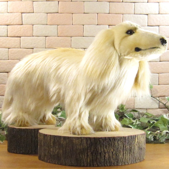 ���å����ե�ȡ��ӥå������������꡼�ࡡ�ɥå����֥������礭���ƥꥢ��ʸ��Τ̤�����ߡ����̤���ʪ�����̤Υե����奢������ƥꥢ