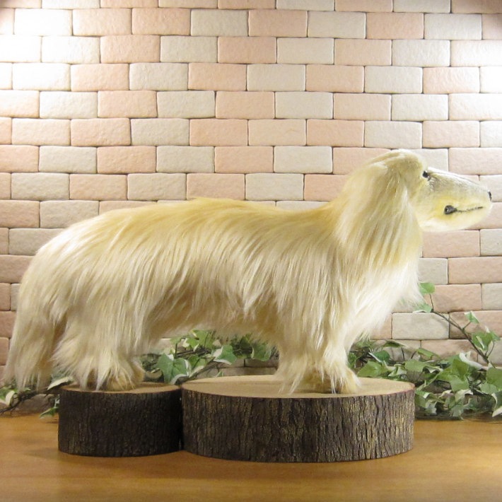 ���å����ե�ȡ��ӥå������������꡼�ࡡ�ɥå����֥������礭���ƥꥢ��ʸ��Τ̤�����ߡ����̤���ʪ�����̤Υե����奢������ƥꥢ