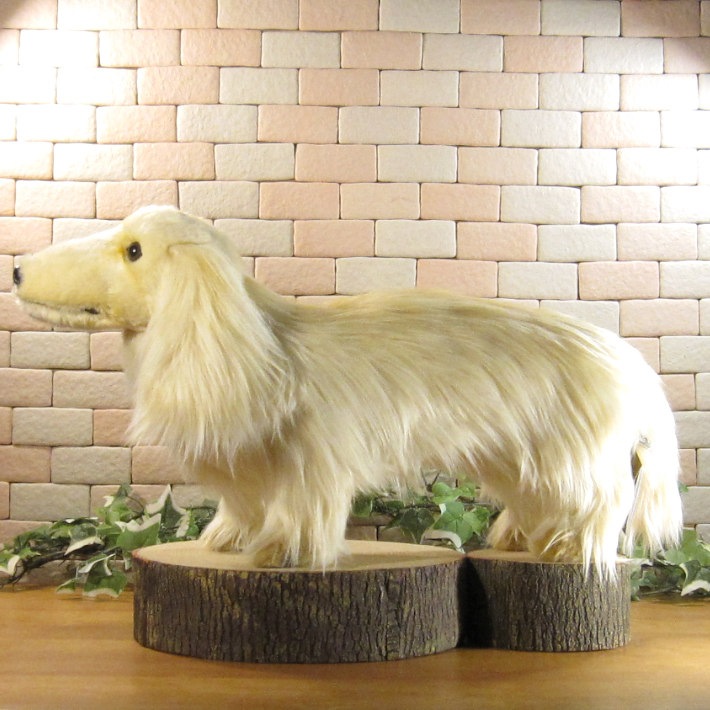 ���å����ե�ȡ��ӥå������������꡼�ࡡ�ɥå����֥������礭���ƥꥢ��ʸ��Τ̤�����ߡ����̤���ʪ�����̤Υե����奢������ƥꥢ