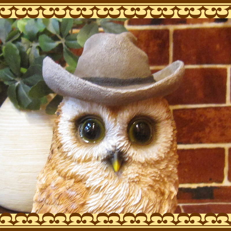 �ꥢ���Ļ����ʪ������ǥ����դ��������������ס��ե������Υե����奢�����������Υ���ƥꥢ�ˤ����Υ����ʥ��ȤȤ��Ƥ�