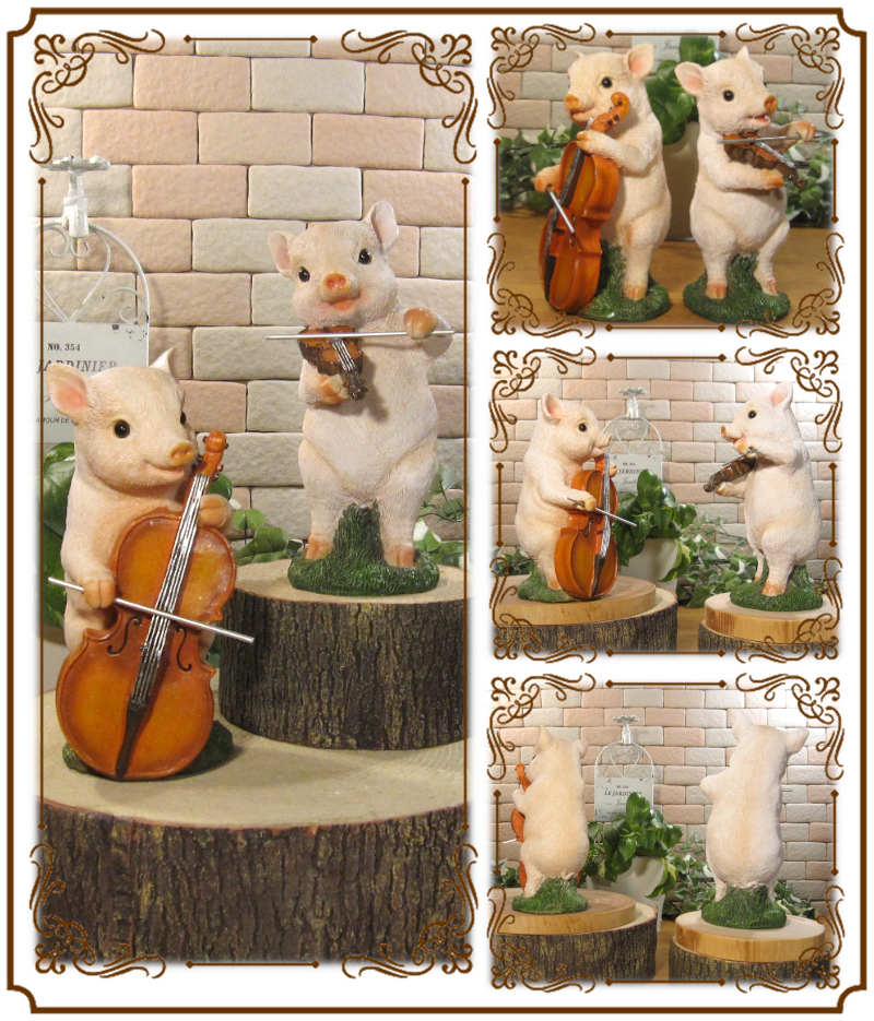 �֥����İ����ڤ���ʪ���Ƥ֤����դǡ����Υ��åȡ����֥����������ǥ󡡥���ƥꥢ��Ź�ޡ������󥿡��������������ǥ˥󥰡��������٥���������