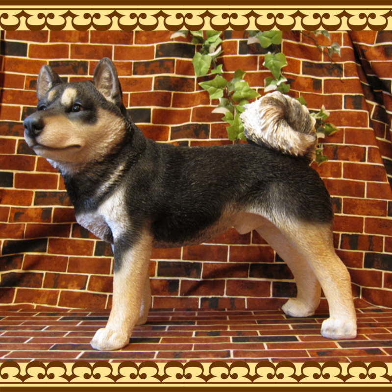 �Ƹ�����ʪ�����ơ�������������ɡ��ӥå����������礭���ƥꥢ��ʥ��̤���ʪ���������Υ���ƥꥢ�ˤ����Υ����ʥ��ȤȤ��Ƥ��