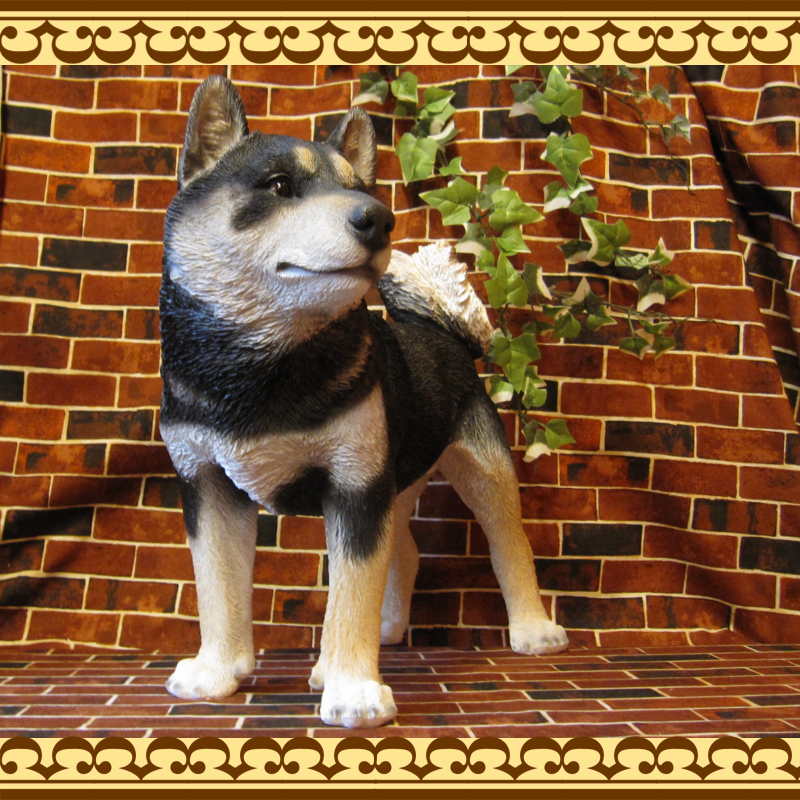 �Ƹ�����ʪ�����ơ�������������ɡ��ӥå����������礭���ƥꥢ��ʥ��̤���ʪ���������Υ���ƥꥢ�ˤ����Υ����ʥ��ȤȤ��Ƥ��