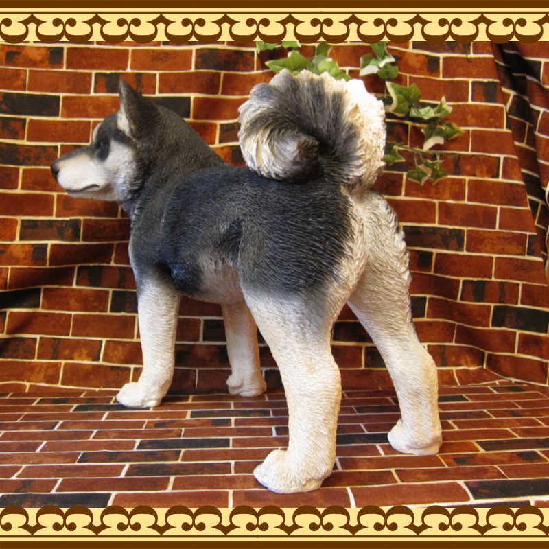 �Ƹ�����ʪ�����ơ�������������ɡ��ӥå����������礭���ƥꥢ��ʥ��̤���ʪ���������Υ���ƥꥢ�ˤ����Υ����ʥ��ȤȤ��Ƥ��