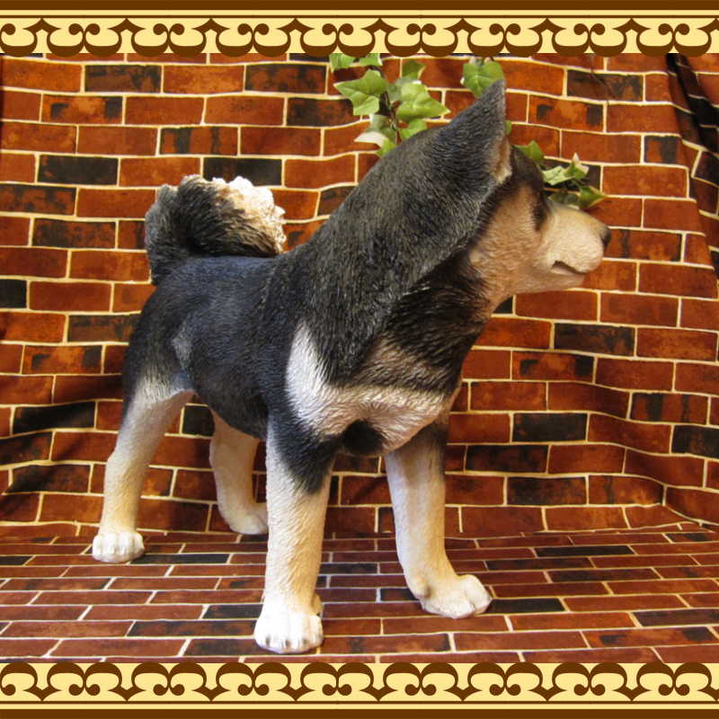 �Ƹ�����ʪ�����ơ�������������ɡ��ӥå����������礭���ƥꥢ��ʥ��̤���ʪ���������Υ���ƥꥢ�ˤ����Υ����ʥ��ȤȤ��Ƥ��