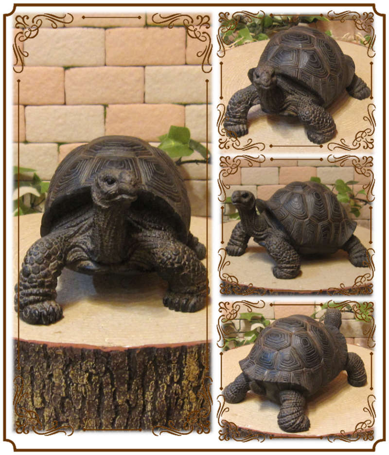 �ꥢ��ʥ������ʪ���������ס����ᥪ�֥��������Υե����奢�������ǥ˥󥰡������ʥ���