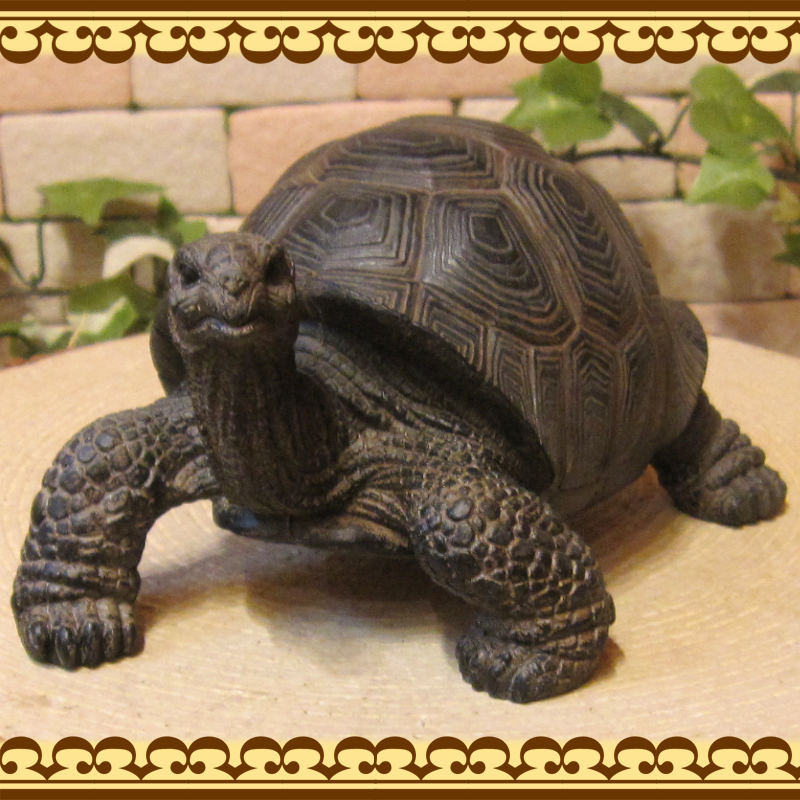 �ꥢ��ʥ������ʪ���������ס����ᥪ�֥��������Υե����奢�������ǥ˥󥰡������ʥ���