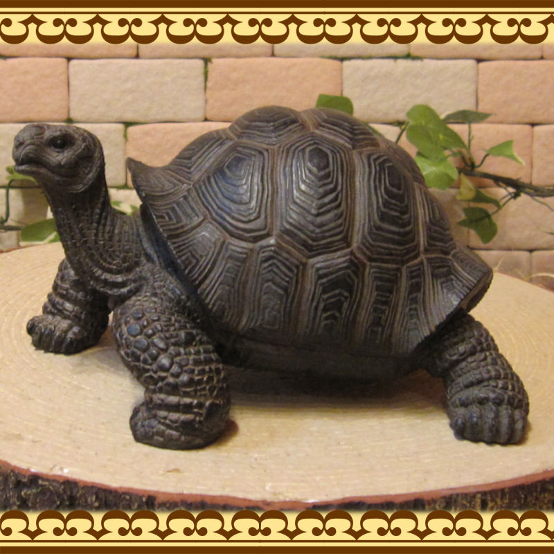 �ꥢ��ʥ������ʪ���������ס����ᥪ�֥��������Υե����奢�������ǥ˥󥰡������ʥ���