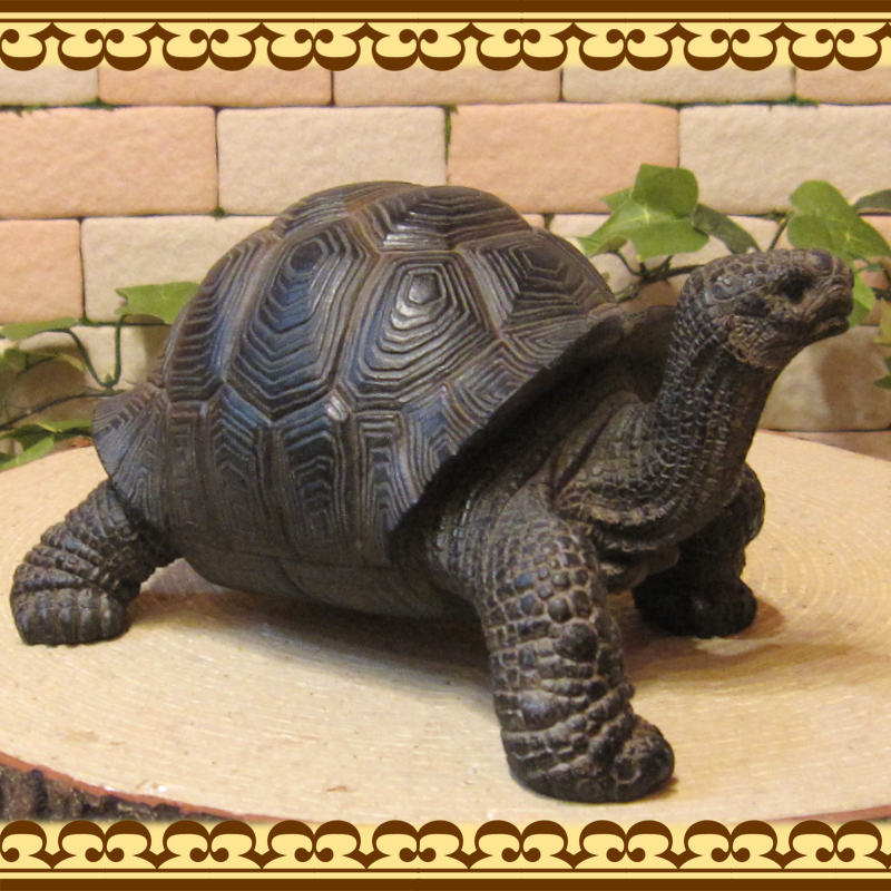 �ꥢ��ʥ������ʪ���������ס����ᥪ�֥��������Υե����奢�������ǥ˥󥰡������ʥ���