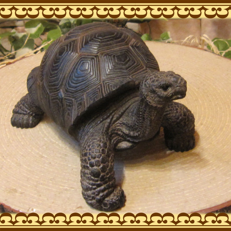 �ꥢ��ʥ������ʪ���������ס����ᥪ�֥��������Υե����奢�������ǥ˥󥰡������ʥ���