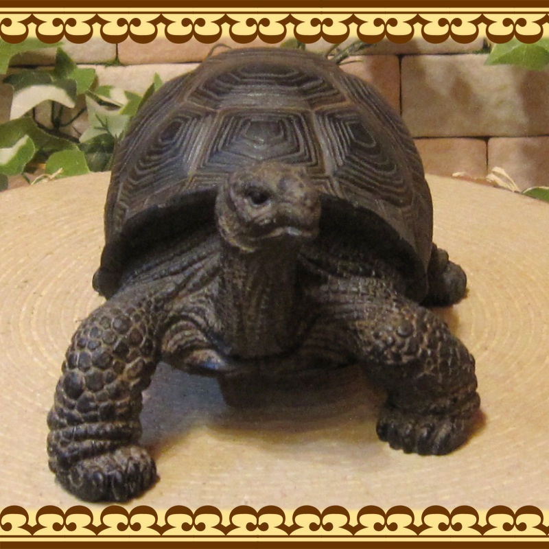 �ꥢ��ʥ������ʪ���������ס����ᥪ�֥��������Υե����奢�������ǥ˥󥰡������ʥ���