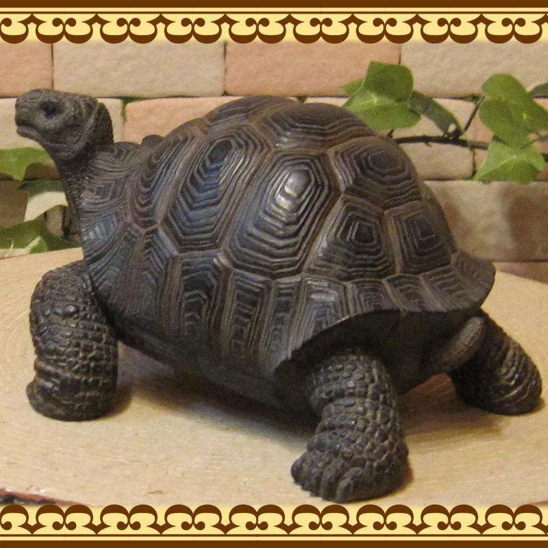 �ꥢ��ʥ������ʪ���������ס����ᥪ�֥��������Υե����奢�������ǥ˥󥰡������ʥ���