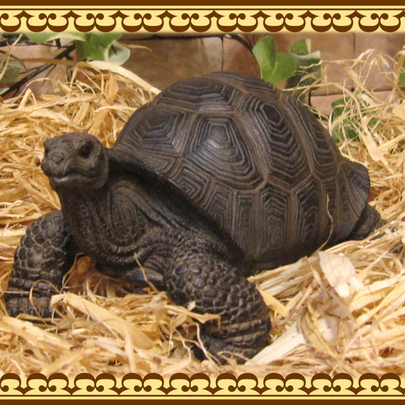 �ꥢ��ʥ������ʪ���������ס����ᥪ�֥��������Υե����奢�������ǥ˥󥰡������ʥ���