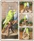 �ꥢ���Ļ����ʪ���쥸�����������󥳡��ڥ����Ȥꡡ���֥������ȥꡡ�����ʥ��ȡ������ǥ˥󥰡�Ź�ޡ������󥿡����������ǥ��˥��������٥���������