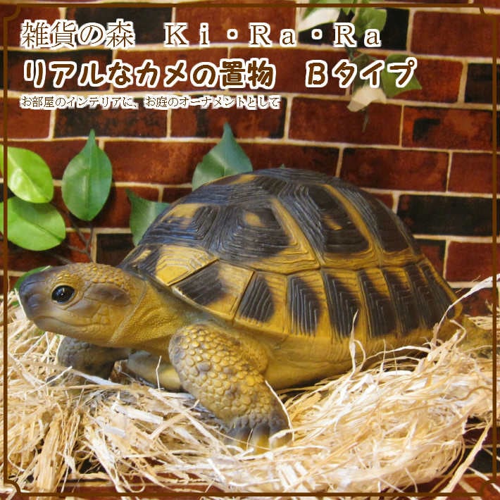 亀 壁掛け」の人気商品一覧 | 安い商品を通販サイトから探す - 価格.com