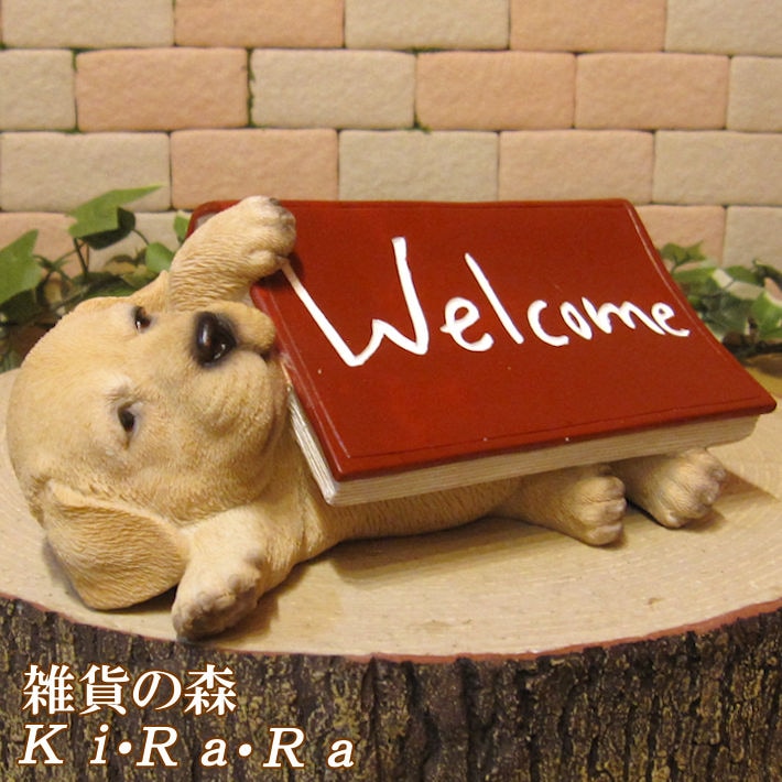 ʪ֥ɡȥСҤ̡륫֥åߡ̡̡ɥå֥ե奢ǥ󡡥٥ȡǥ˥󥰡