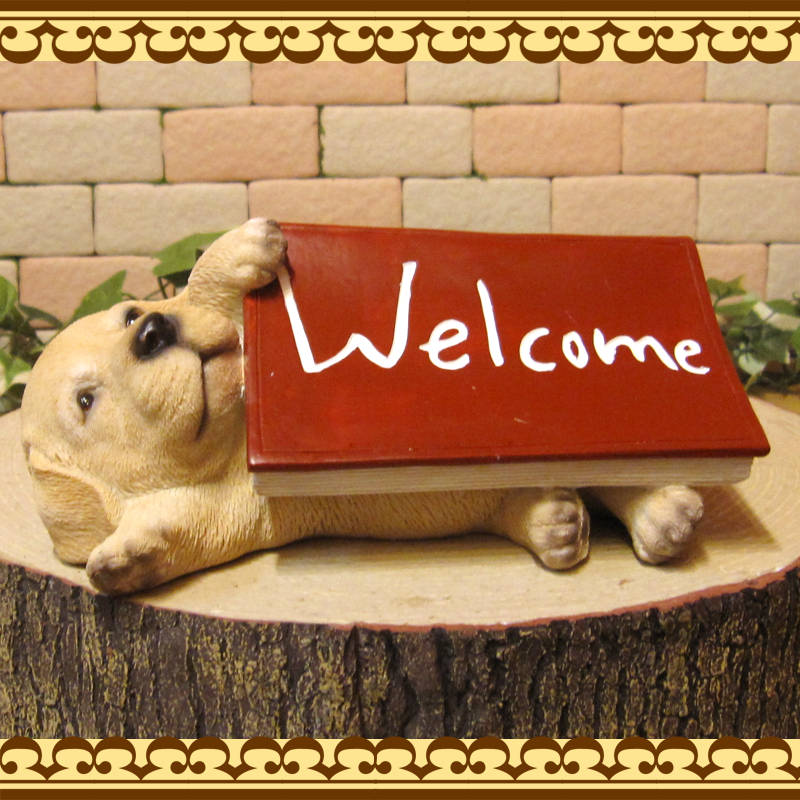 ʪ֥ɡȥСҤ̡륫֥åߡ̡̡ɥå֥ե奢ǥ󡡥٥ȡǥ˥󥰡