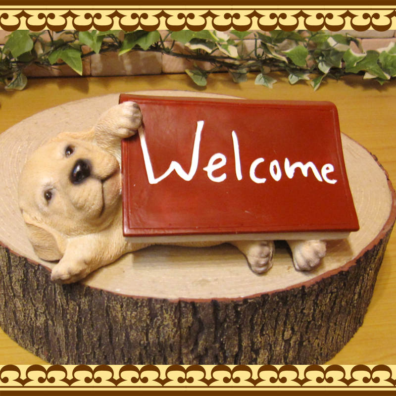 ʪ֥ɡȥСҤ̡륫֥åߡ̡̡ɥå֥ե奢ǥ󡡥٥ȡǥ˥󥰡