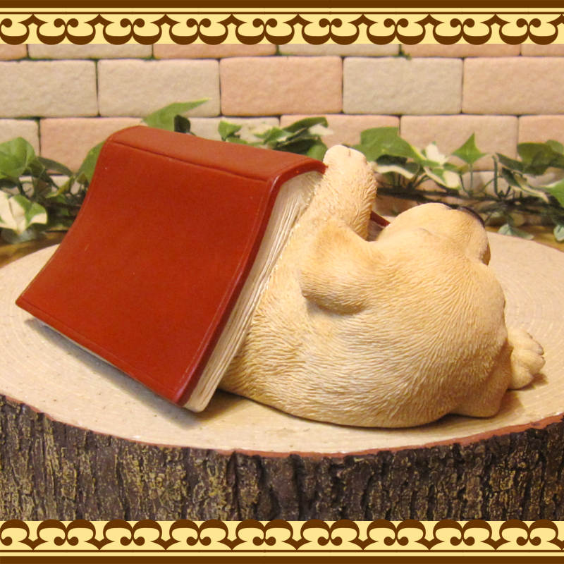 ʪ֥ɡȥСҤ̡륫֥åߡ̡̡ɥå֥ե奢ǥ󡡥٥ȡǥ˥󥰡