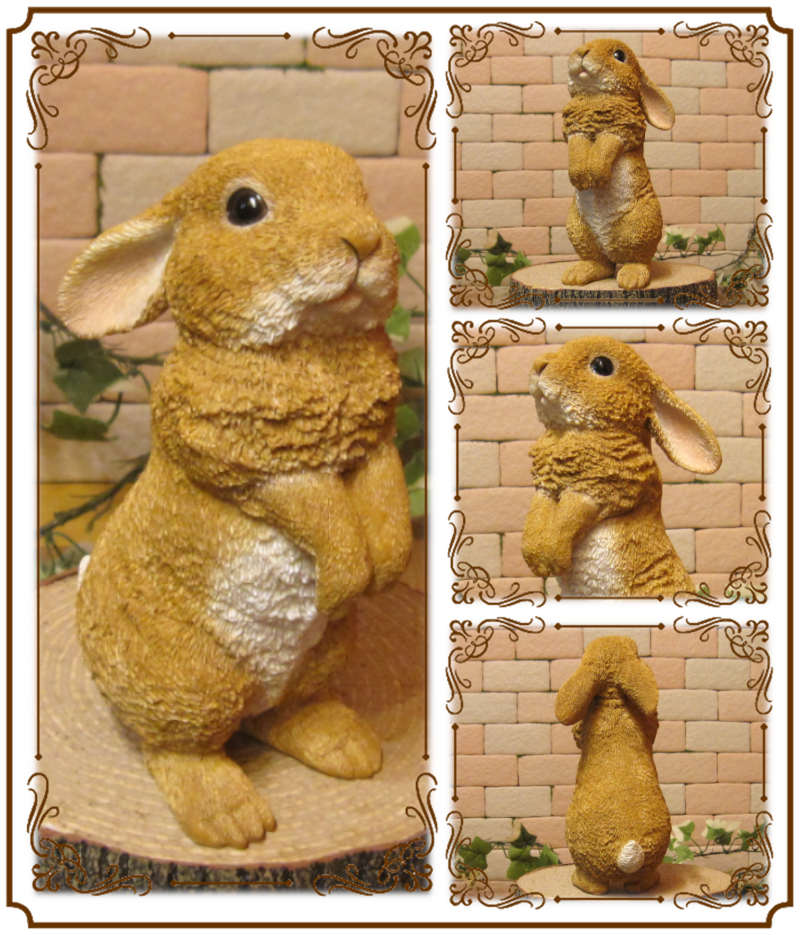 �ꥢ��ʥ���������ʪ��������ɥ�ӥåȡ����⡼�롡�������Υե����奢�����֥������������Υ���ƥꥢ�ˤ����Υ����ʥ��ȤȤ��Ƥ����