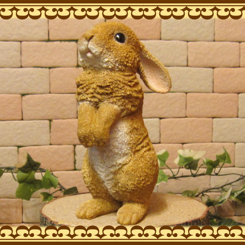 �ꥢ��ʥ���������ʪ��������ɥ�ӥåȡ����⡼�롡�������Υե����奢�����֥������������Υ���ƥꥢ�ˤ����Υ����ʥ��ȤȤ��Ƥ����