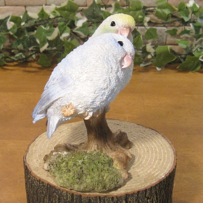 �ꥢ���Ļ����ʪ���쥸�����������ź�������󥳡��Ȥꡡ���֥������ȥꡡ�����ʥ��ȡ������ǥ˥󥰡�Ź�ޡ������󥿡����������ǥ��˥��������٥���������