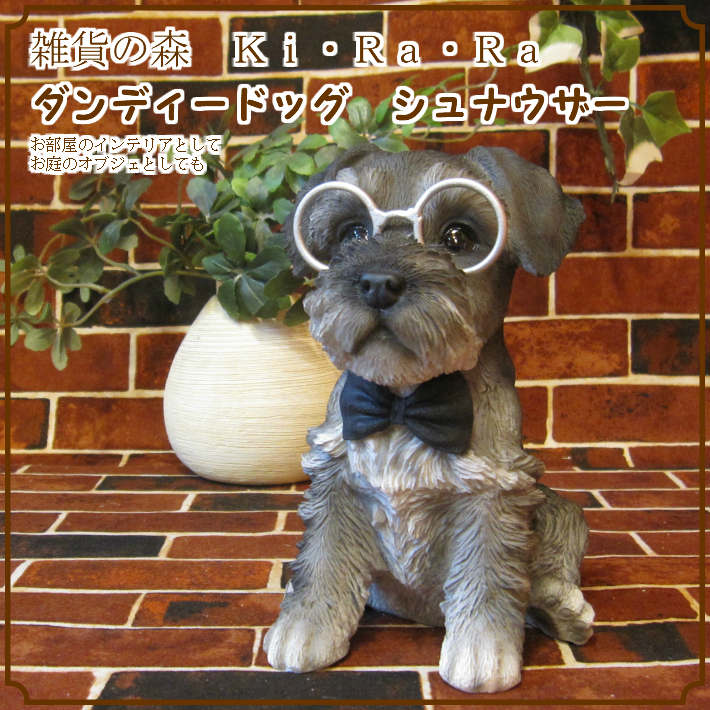 �ꥢ��ʸ�����ʪ������ǥ����ɥå�������ʥ����������̤Υե����奢�����̤Υ��֥������������Υ���ƥꥢ�ˤ����Υ����ʥ��ȤȤ��Ƥ��