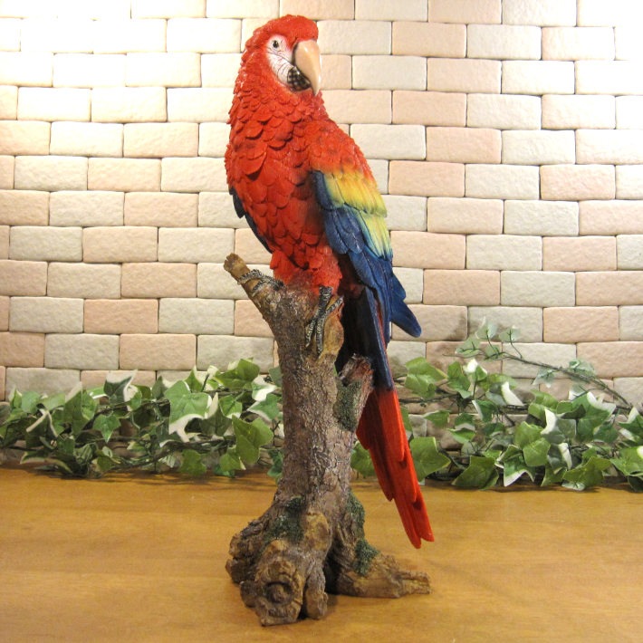 ꥢĻʪ쥸󥴥󥳡Ȥꡡ֥ȥꡡʥȡǥ˥󥰡Źޡ󥿡ǥ˥٥