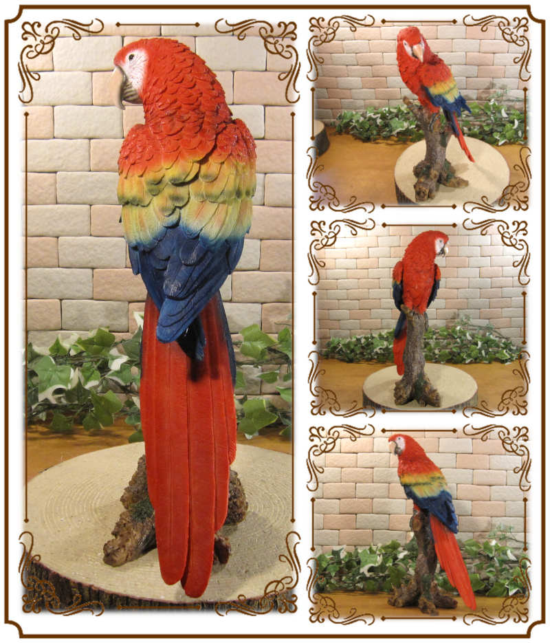 ꥢĻʪ쥸󥴥󥳡Ȥꡡ֥ȥꡡʥȡǥ˥󥰡Źޡ󥿡ǥ˥٥