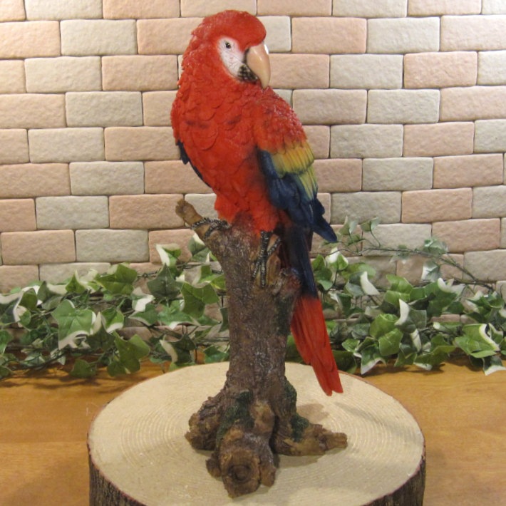 ꥢĻʪ쥸󥴥󥳡Ȥꡡ֥ȥꡡʥȡǥ˥󥰡Źޡ󥿡ǥ˥٥