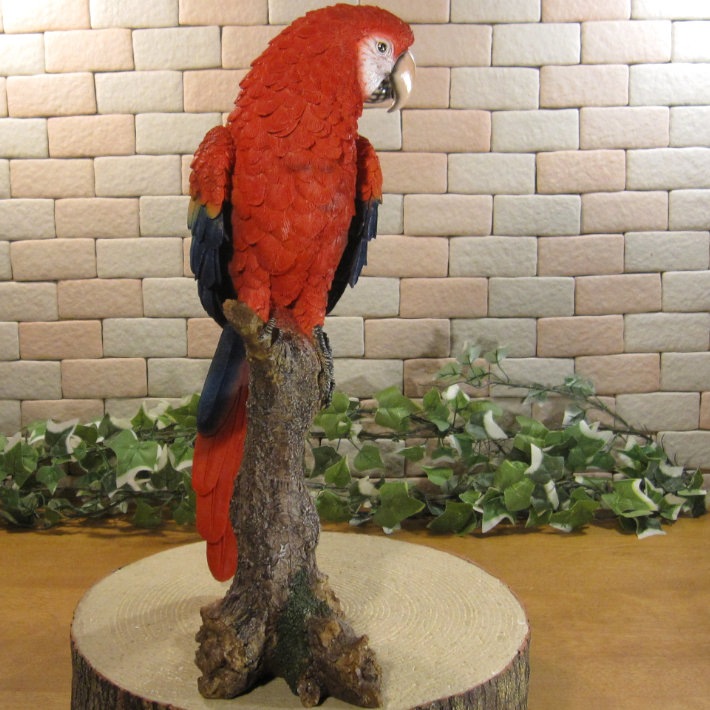 ꥢĻʪ쥸󥴥󥳡Ȥꡡ֥ȥꡡʥȡǥ˥󥰡Źޡ󥿡ǥ˥٥