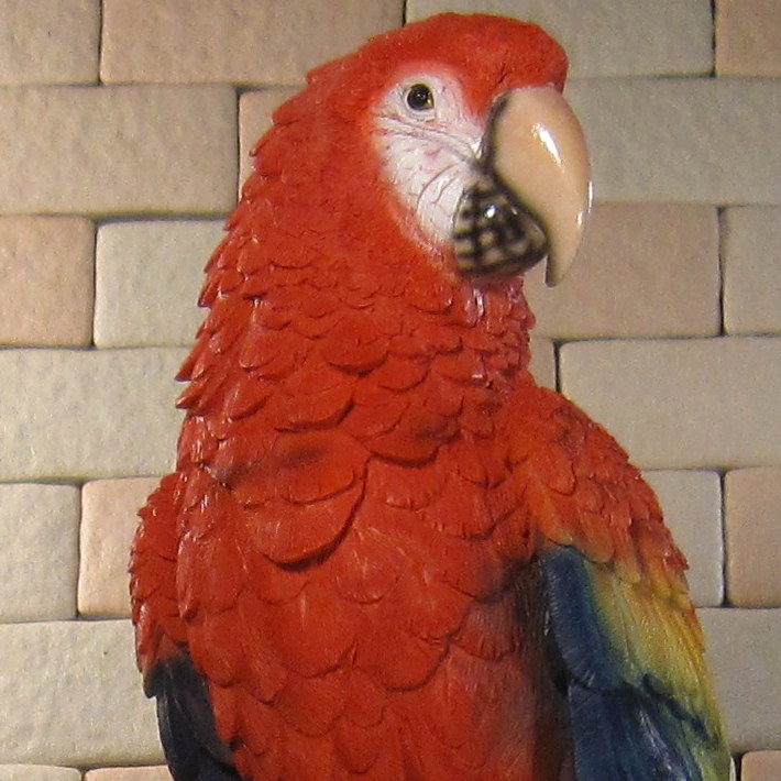 ꥢĻʪ쥸󥴥󥳡Ȥꡡ֥ȥꡡʥȡǥ˥󥰡Źޡ󥿡ǥ˥٥