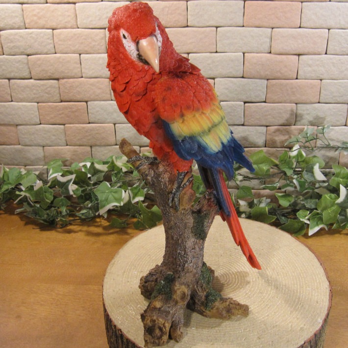 ꥢĻʪ쥸󥴥󥳡Ȥꡡ֥ȥꡡʥȡǥ˥󥰡Źޡ󥿡ǥ˥٥