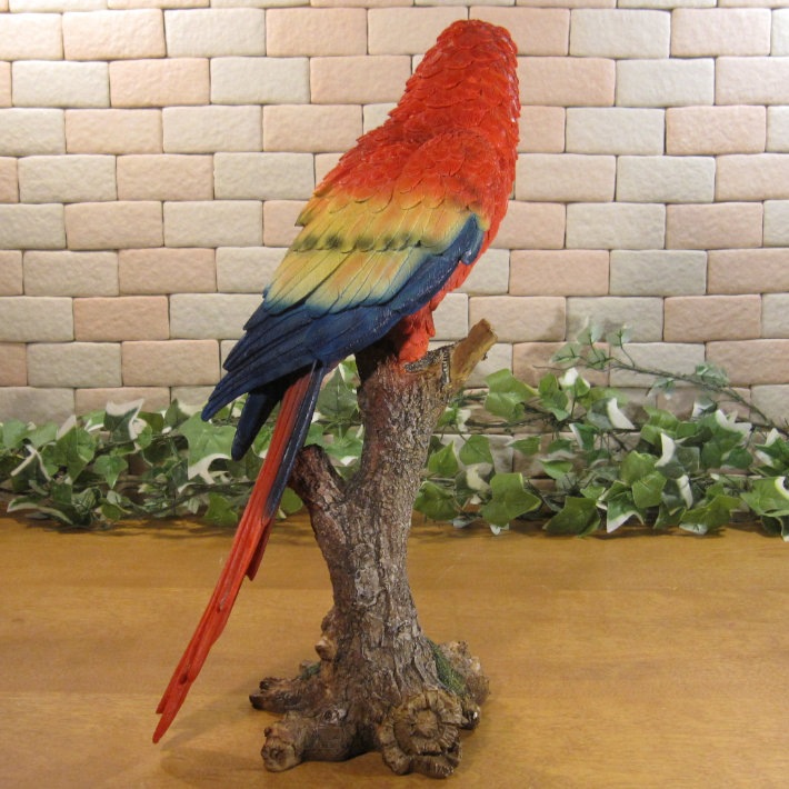 ꥢĻʪ쥸󥴥󥳡Ȥꡡ֥ȥꡡʥȡǥ˥󥰡Źޡ󥿡ǥ˥٥