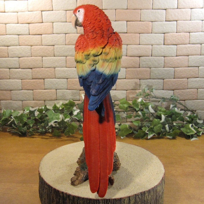 ꥢĻʪ쥸󥴥󥳡Ȥꡡ֥ȥꡡʥȡǥ˥󥰡Źޡ󥿡ǥ˥٥