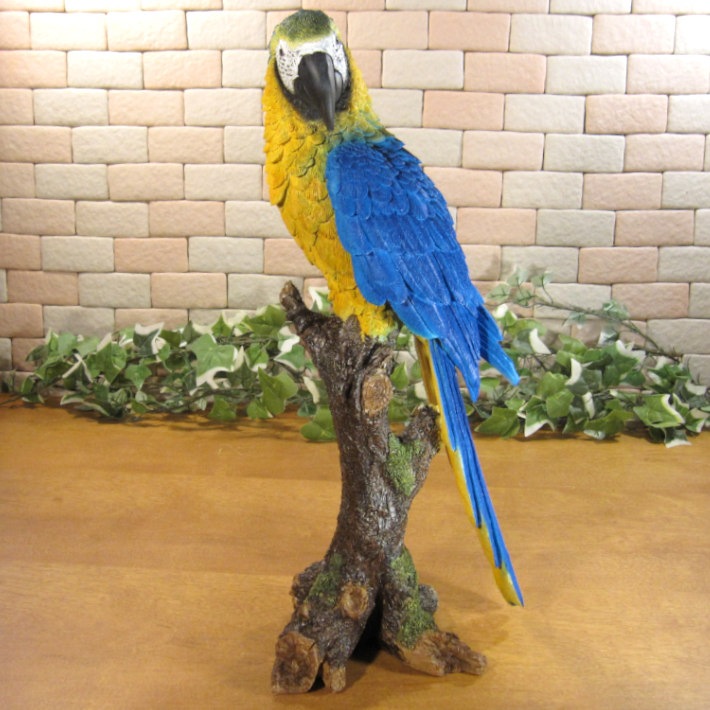 �ꥢ���Ļ����ʪ���쥸���������������󥴥����󥳡��Ȥꡡ���֥������ȥꡡ�����ʥ��ȡ������ǥ˥󥰡�Ź�ޡ������󥿡����������ǥ��˥��������٥���������