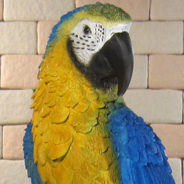 �ꥢ���Ļ����ʪ���쥸���������������󥴥����󥳡��Ȥꡡ���֥������ȥꡡ�����ʥ��ȡ������ǥ˥󥰡�Ź�ޡ������󥿡����������ǥ��˥��������٥���������